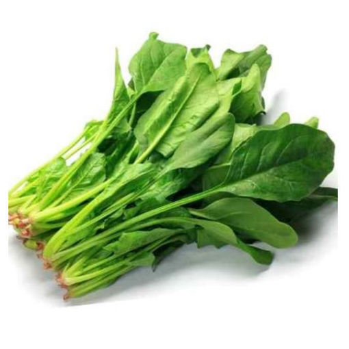图片 特嫩中国红根菠菜 一大捆  ca.150/200g 