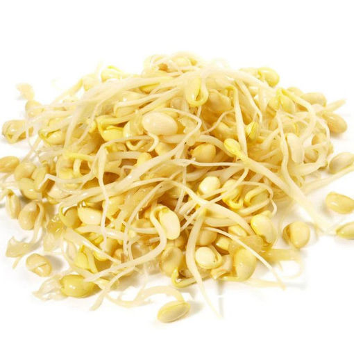 图片 黄豆芽 一大包  600g 