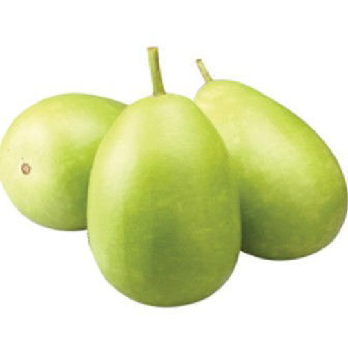 图片 特嫩! 新鲜圆蒲瓜 ca.1.4-1.6kg+ 