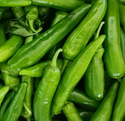 Bild von grüne Paprika ca.200g 