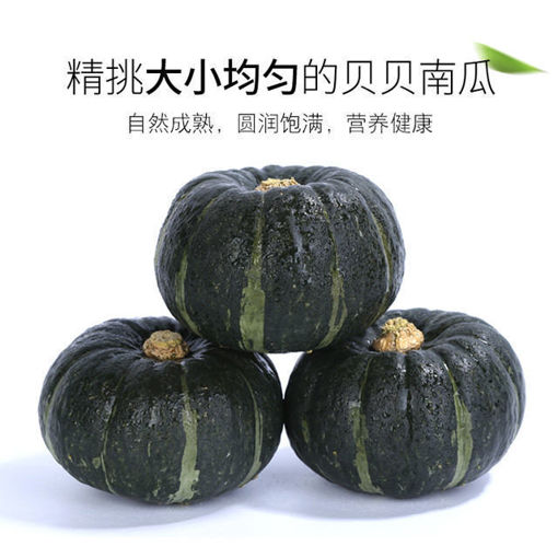 图片 日式贝贝南瓜 香甜软糯 ca.2.4-2.5kg 