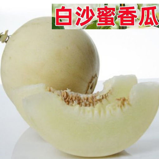图片 香瓜 (白沙蜜香瓜/甜瓜 )香甜可口 ca.300g+  整颗 重量稍有偏差