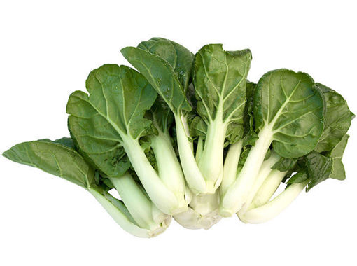 Bild von mini Pak Choi je Potion ca.400/450g