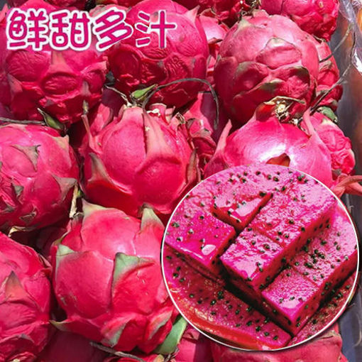 图片 实物图 红心火龙果 小号 ca.300g (整颗重量会稍有偏差)