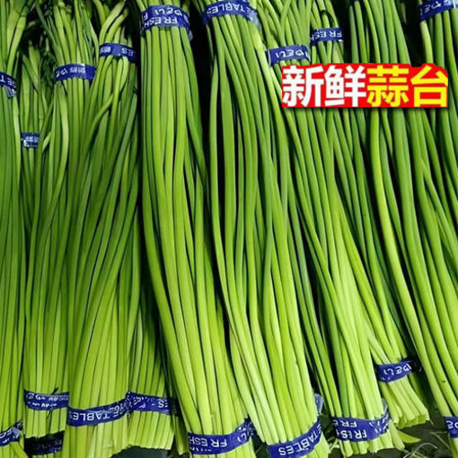 图片 新货! 蒜苔 蒜苗 ca.+/- 200g 一把 