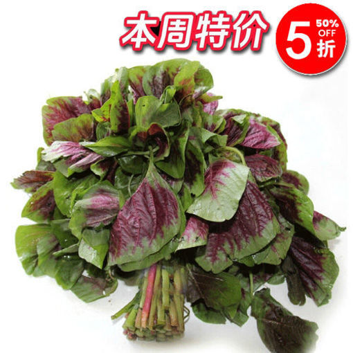 图片 红苋菜 一大捆 ca.250g 