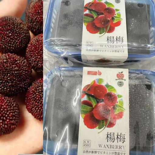 图片 实物图! 新鲜杨梅 500g