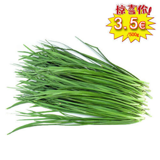 图片 新鲜本地韭菜 500g (一斤)