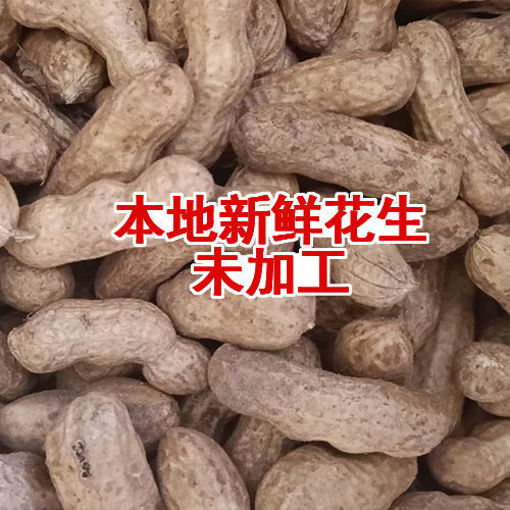 图片 本地新鲜花生 (未加工 当季新刨花生) 400g  