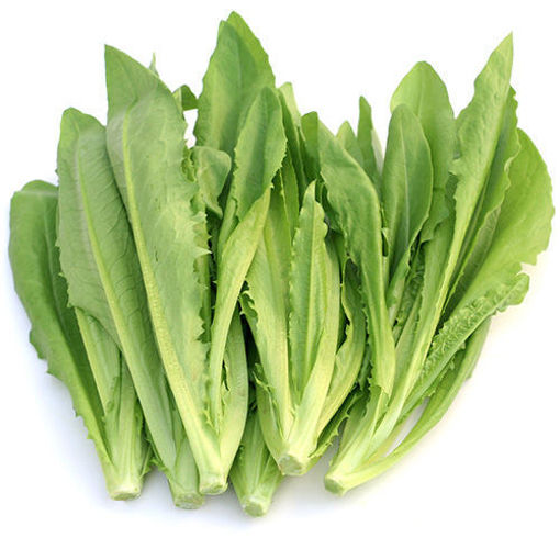 图片 油麦菜 ca.250/300g