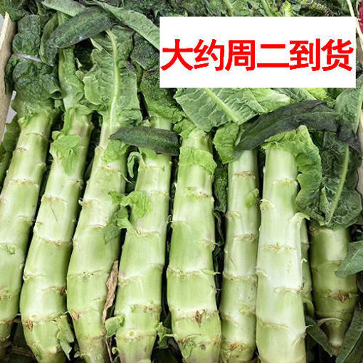 图片 本地长莴笋 长颗  ca.300-400g+/- 