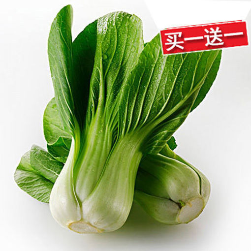 图片 买一送一! 上海青菜 ca.450/500g
