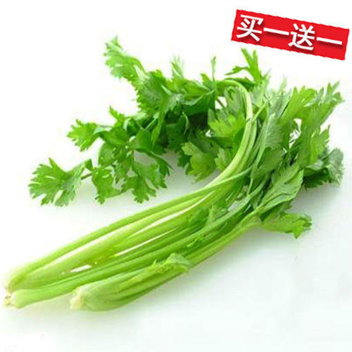 图片 买一送一! 中国嫩芹菜 香芹 ca. 200-300g 