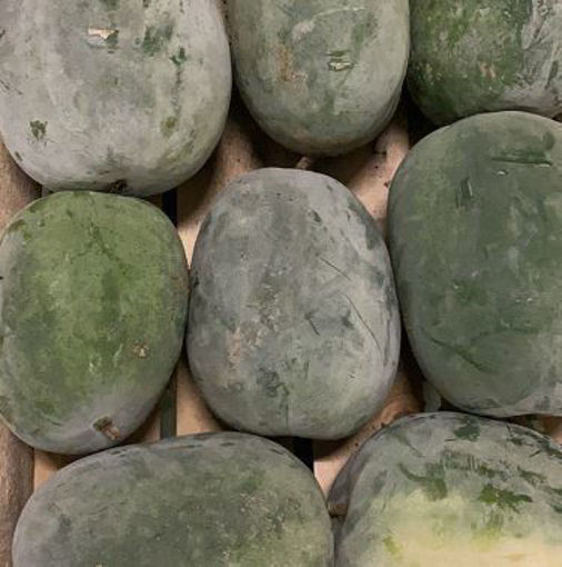 图片 整颗冬瓜! 中国绿皮冬瓜 1.8-2kg