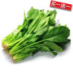 图片 买一送一! 带根中国菠菜 ca.150g