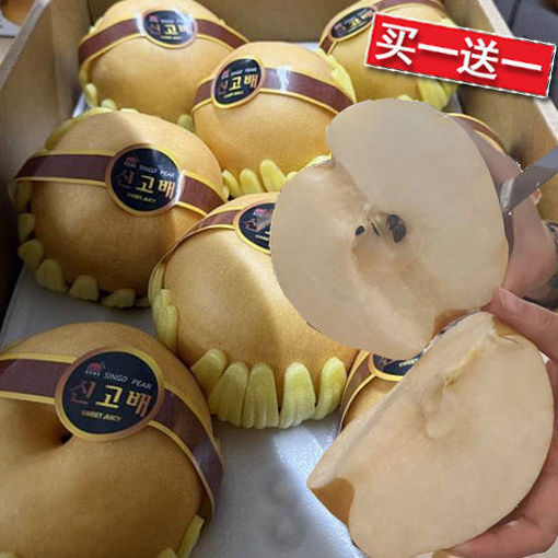 图片 买一送一 ! 韩国进口 大黄金梨 特大号 500g+   特甜多汁肉细腻