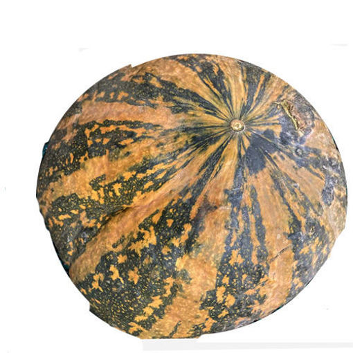 图片 黄色贝贝南瓜 香甜软糯 ca. 1.5kg