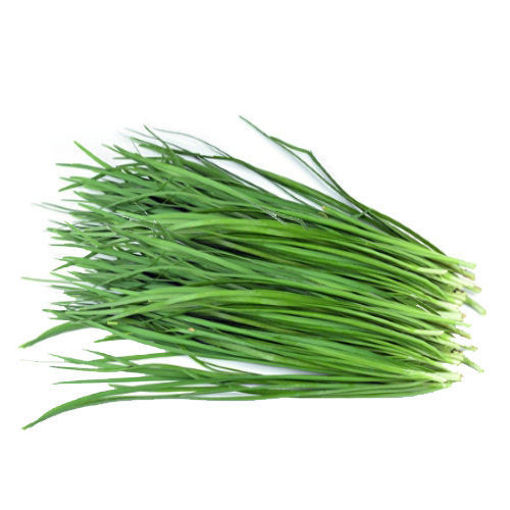 图片 新鲜本地韭菜 1大把 300g (夏天韭菜有黄叶) Schnittknoblauch