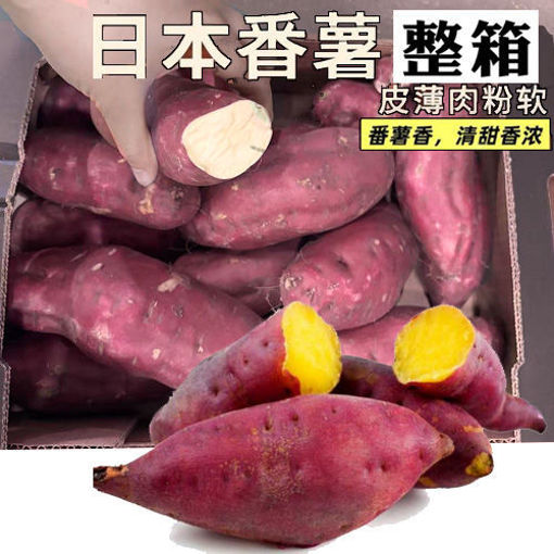 图片 整箱6kg! 日本番薯 红皮黄心 ca.6kg